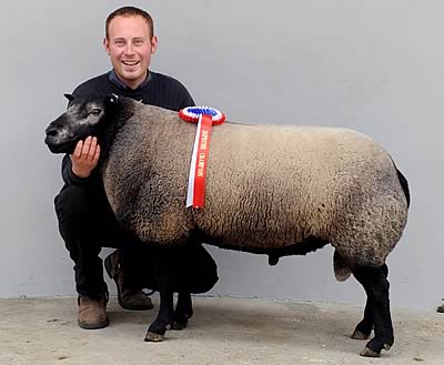 Male & Supreme Champion shown by DG & MH Jones of the Dulas flock, Powys.   Sold for top price at 1,500gns to GA & HM Francis of the Pistyll flock, Carmarthen.